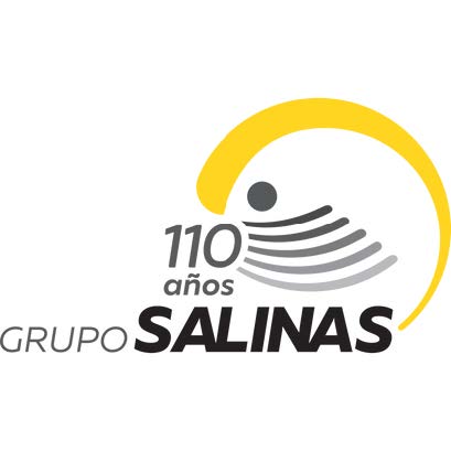 Grupo Salinas